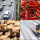Image for article titled Ginger in Nashville, chiles in Chicago: When finding the tastes of home requires a road trip